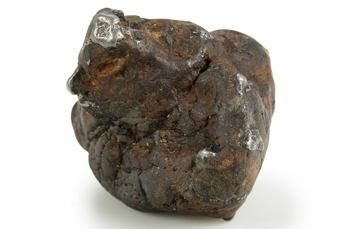 Whole Sericho Pallasite Meteorite ( g) - Kenya #302882